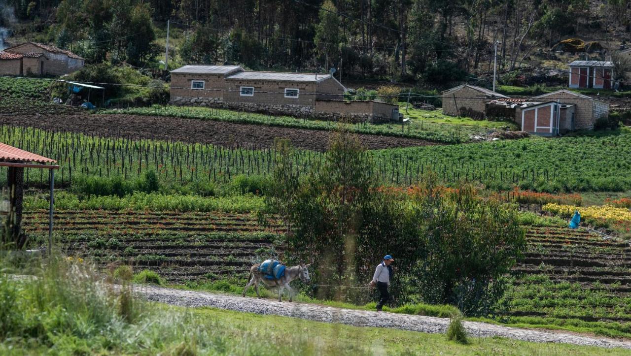 Tullpa Rumy Yungay Eksteriør bilde